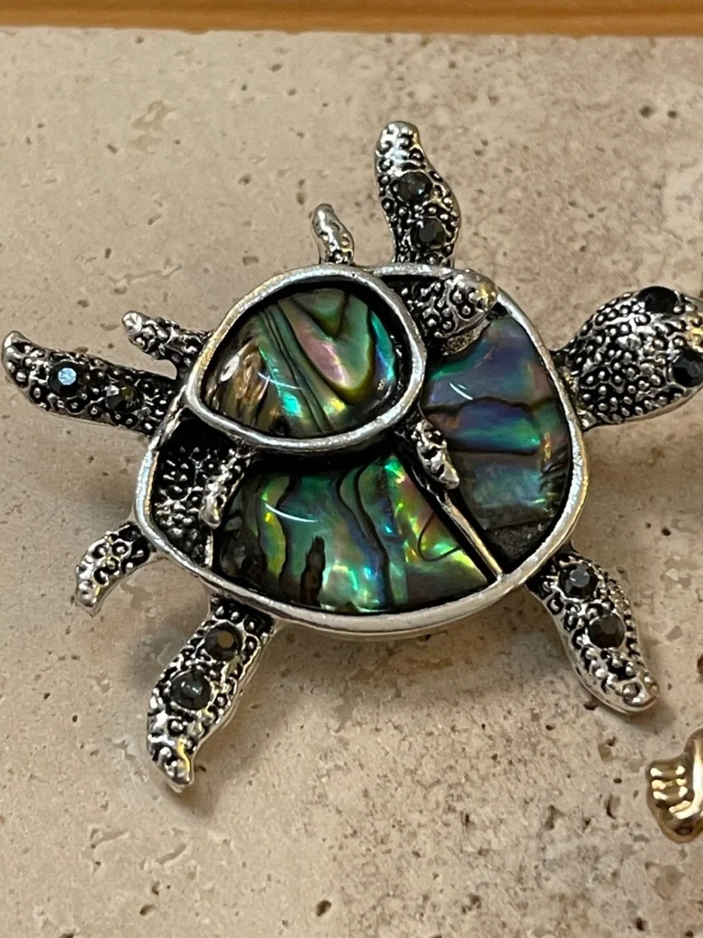 Macys turtle black